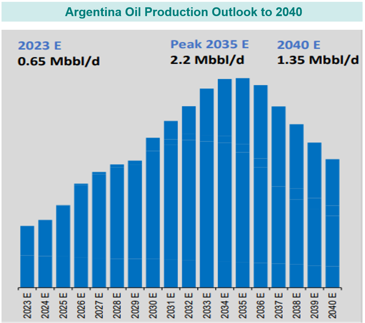 Argentina Oil Production Outlook to 2024