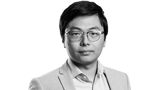 Yan Li, Healthcare Analyst